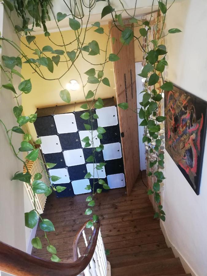 La Chambre D'Hote De Christelle Apartment แชร์บูร์ก อ็อง กงต็องแต็ง ภายนอก รูปภาพ